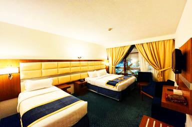 Elegant Hotel Bedroom View