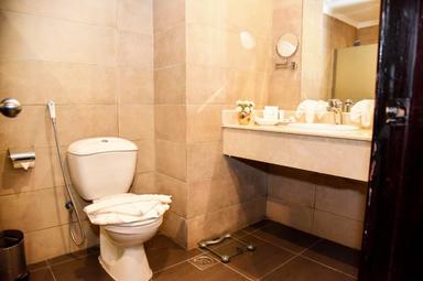 Elegant Hotel Washroom