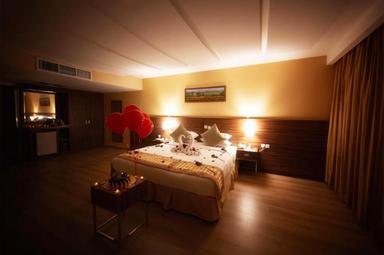 Luxury Night Bed