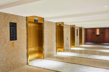 Elite Viplift