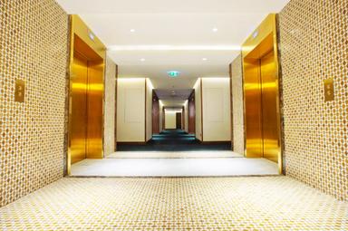 Vip Elite Lift